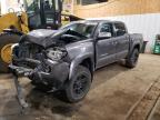 TOYOTA TACOMA DOU photo