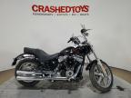 2024 HARLEY-DAVIDSON FXST - 1HD1BVJ19RB038913