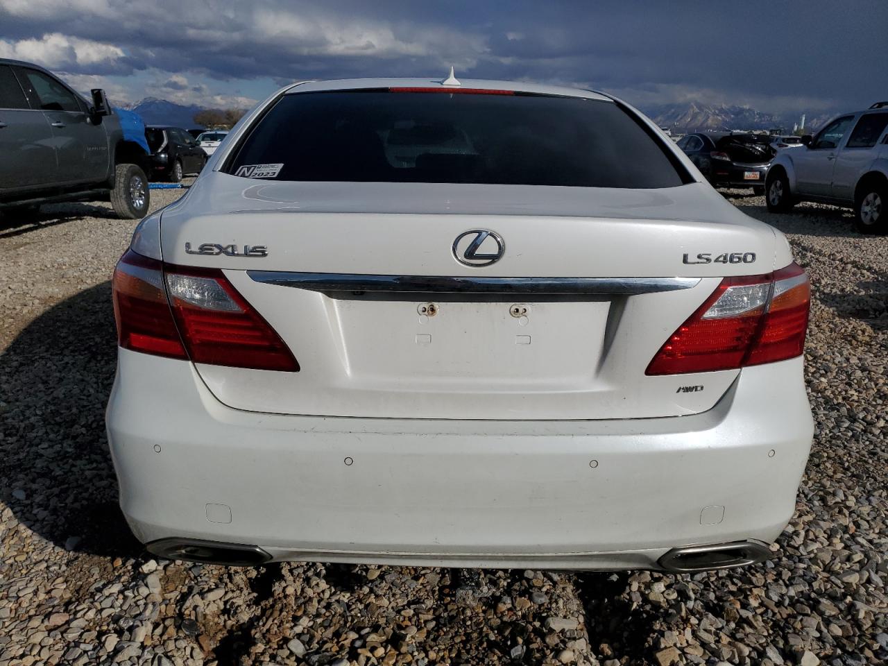 Lot #2960414115 2010 LEXUS LS 460