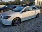 Lot #2937839883 2010 TOYOTA SCION TC