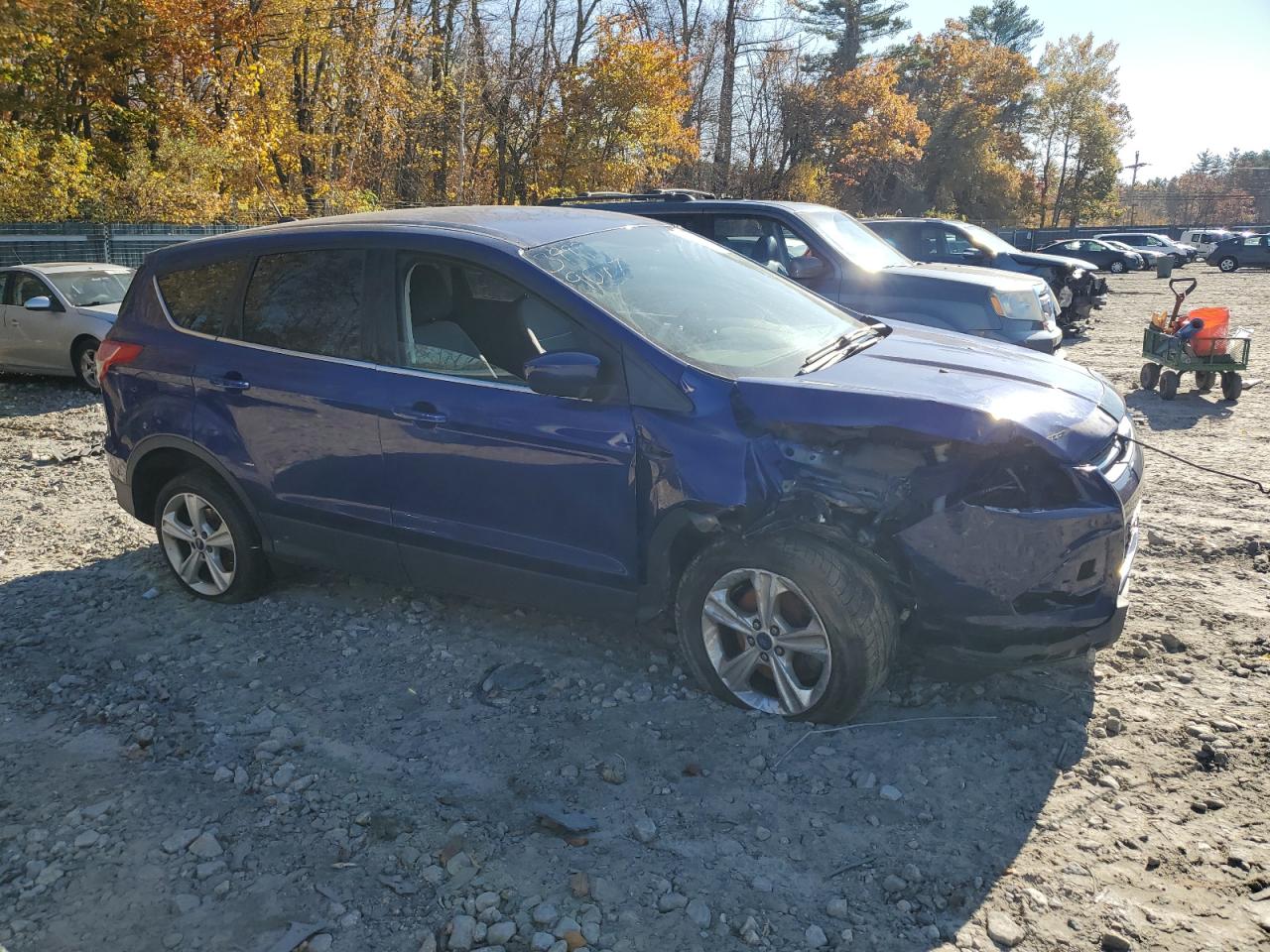 Lot #2925947230 2014 FORD ESCAPE SE