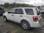 Lot #3024832357 2010 FORD ESCAPE XLT