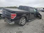 Lot #3027327287 2013 FORD F150 SUPER