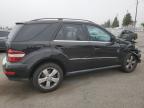 MERCEDES-BENZ ML 350 photo