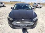 Lot #3023823887 2015 FORD FUSION SE