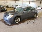 NISSAN ALTIMA BAS photo