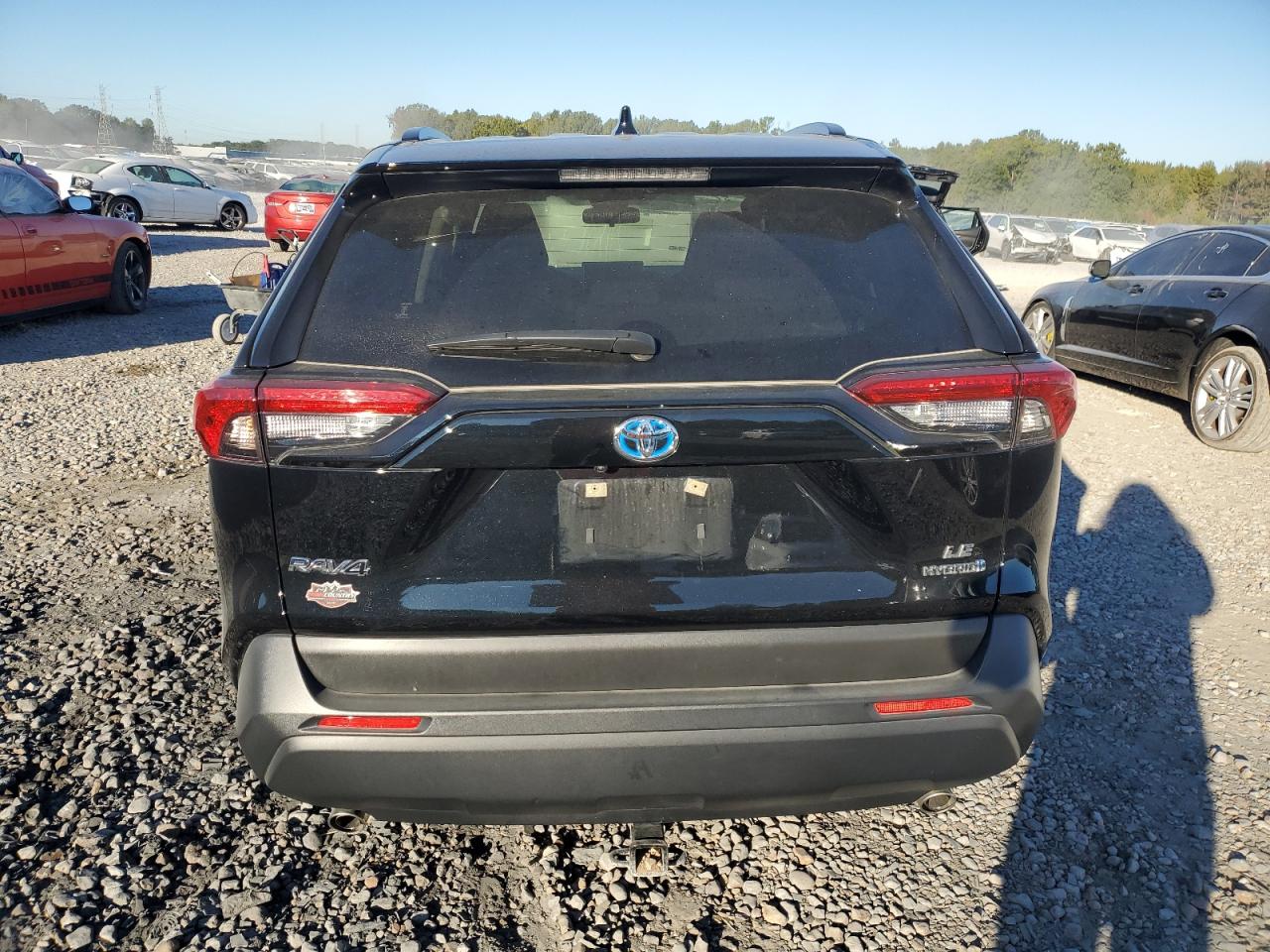 Lot #2969894964 2023 TOYOTA RAV4 LE