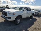 2023 TOYOTA TACOMA DOU - 3TMCZ5AN4PM549072