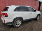 KIA SORENTO LX photo