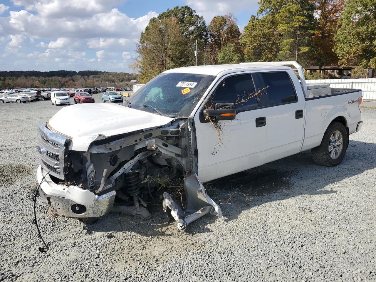  Salvage Ford F-150