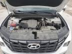 Lot #3004487625 2022 HYUNDAI TUCSON SEL