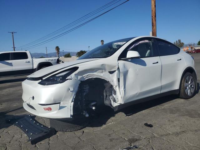 2023 TESLA MODEL Y #2991786315