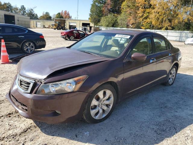 2010 HONDA ACCORD EXL #3025211679