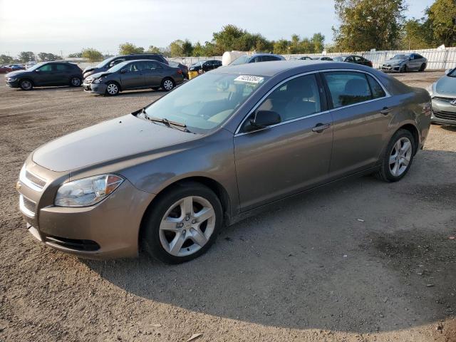 Vin: 1g1zb5eu1cf128154, lot: 74253264, chevrolet malibu ls 2012 img_1