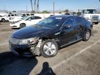 2016 KIA OPTIMA HYB - KNAGM4AD0G5093169