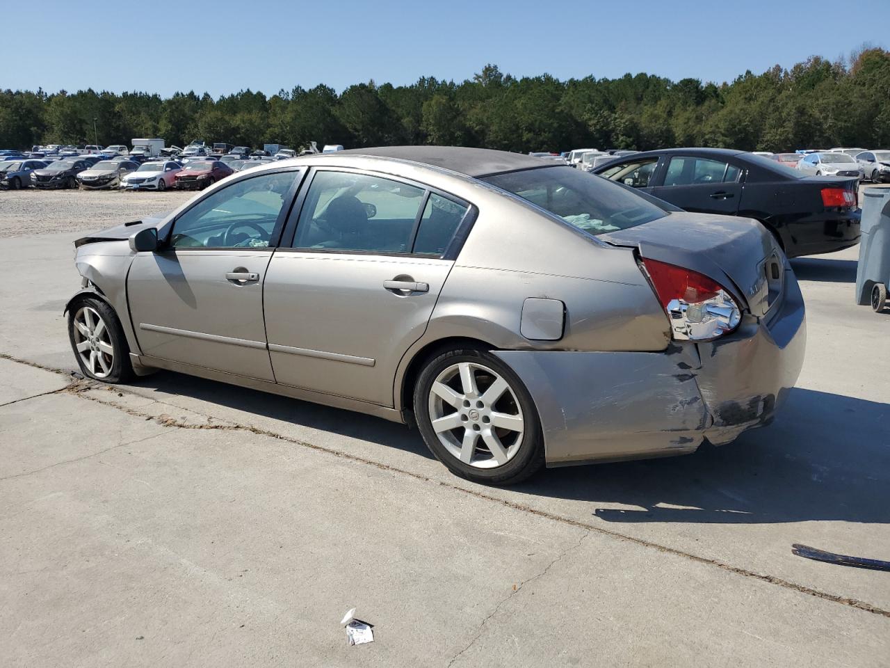 Lot #3003932500 2005 NISSAN MAXIMA SE