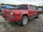 TOYOTA TACOMA DOU photo