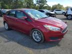 FORD FOCUS SE photo