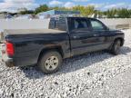 DODGE DAKOTA QUA photo