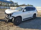 Lot #2942626084 2020 LEXUS GX 460 PRE