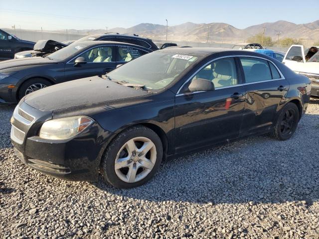 2011 CHEVROLET MALIBU LS - 1G1ZB5E1XBF280440