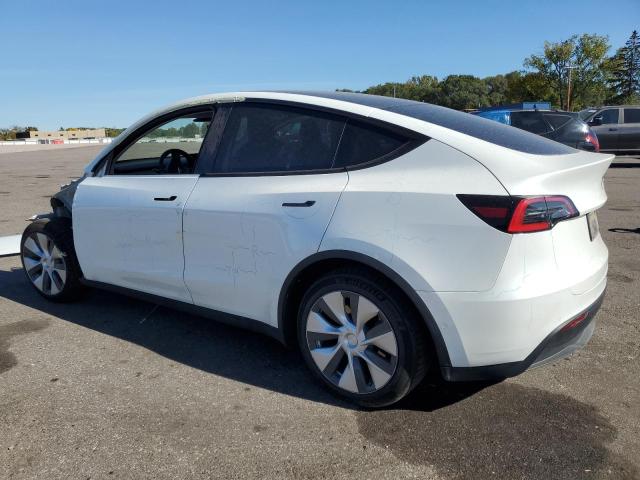 2021 TESLA MODEL Y - 5YJYGDEE2MF083240
