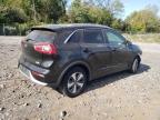 KIA NIRO EX photo