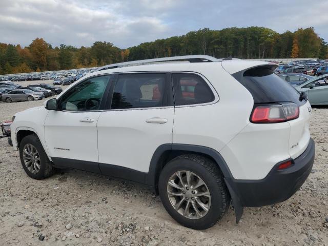 2019 JEEP CHEROKEE L - 1C4PJMLBXKD195214