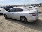 NISSAN MAXIMA S photo