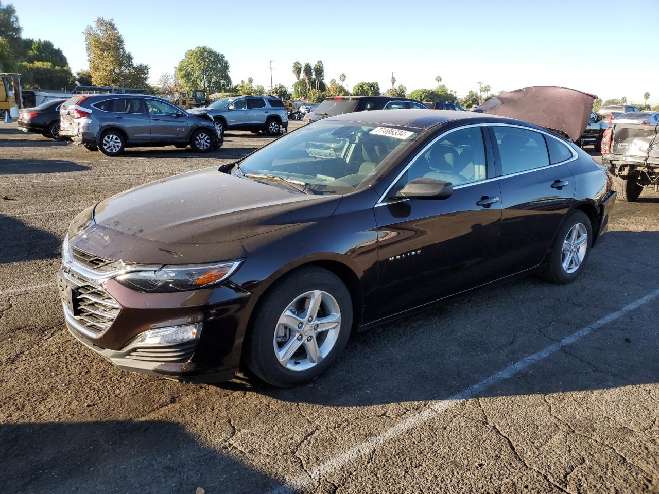 Lot #2976554561 2020 CHEVROLET MALIBU LS