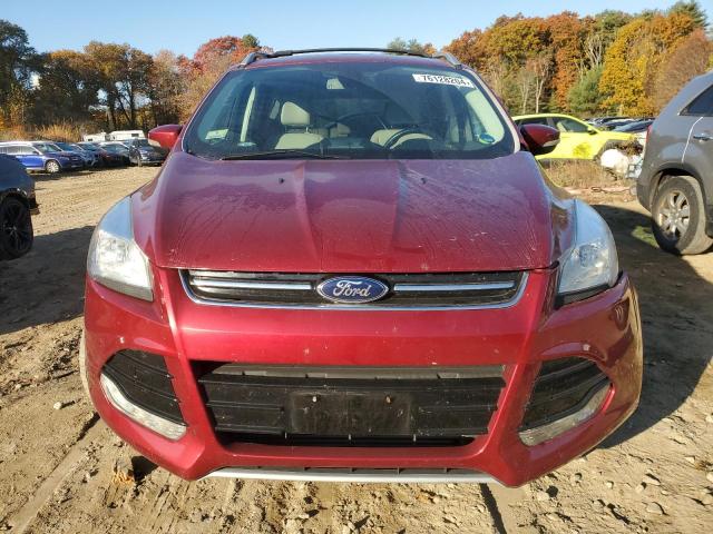 VIN 1FMCU0J97EUB05306 2014 Ford Escape, Titanium no.5