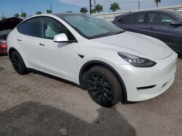 2021 TESLA MODEL Y - 5YJYGDEE3MF144207