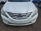 HYUNDAI SONATA SE photo