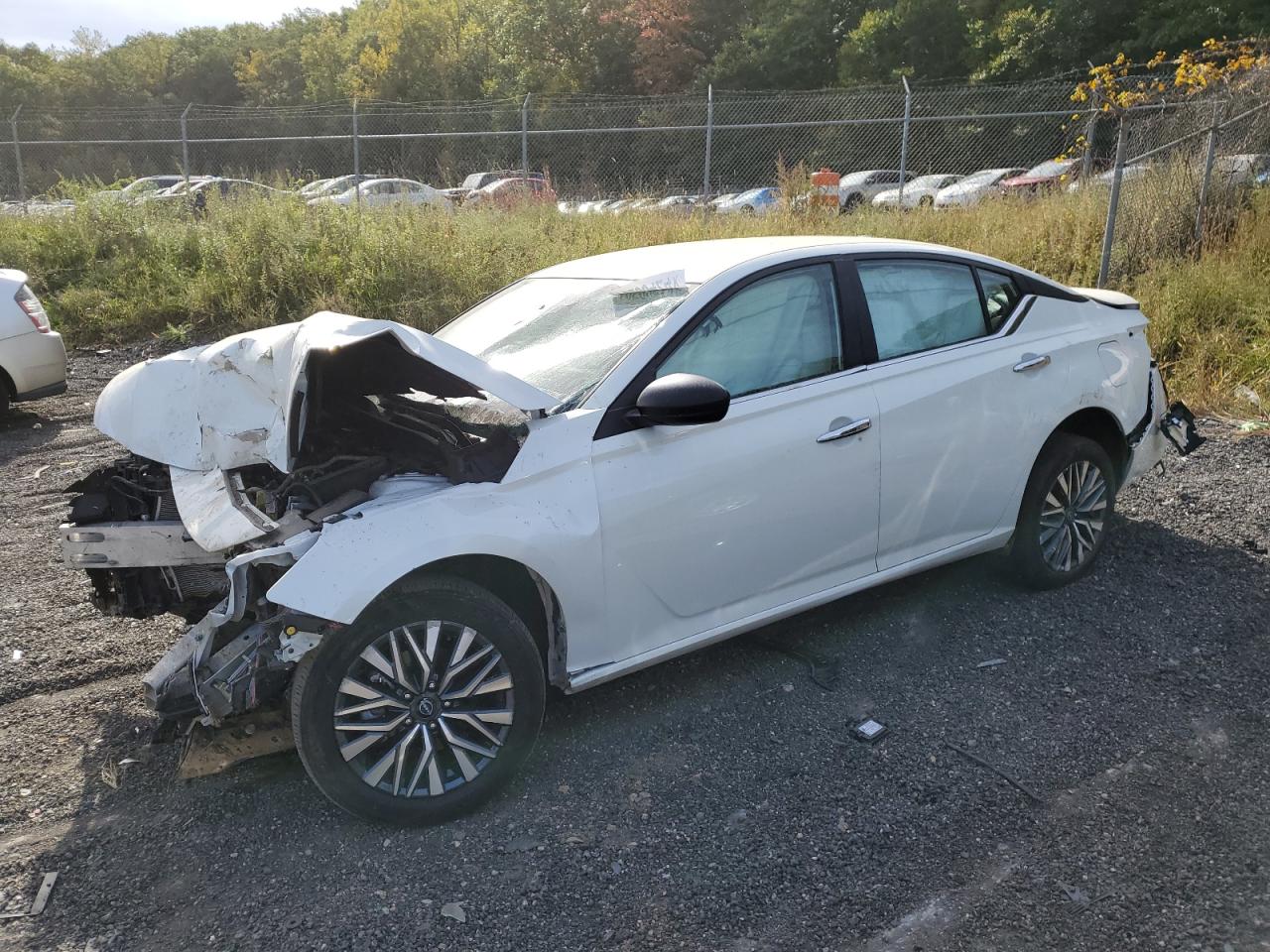 Lot #2979680674 2024 NISSAN ALTIMA SV