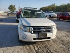 FORD ESCAPE XLT photo