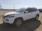 2016 JEEP CHEROKEE L - 1C4PJLDB9GW249543