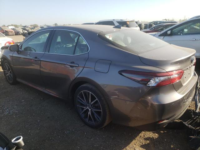 2023 TOYOTA CAMRY XLE - 4T1F31AK5PU608215