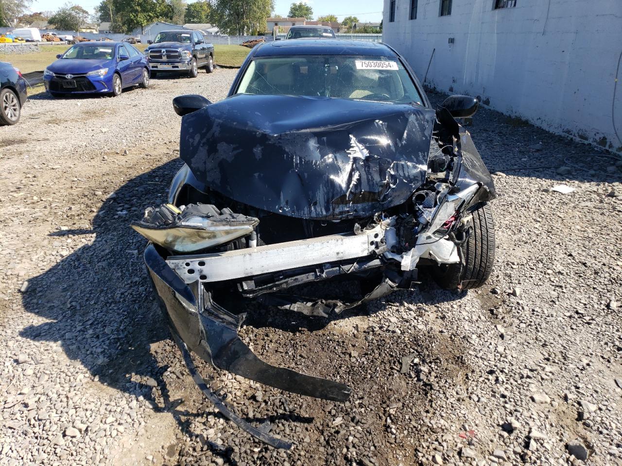 Lot #2977001579 2008 LEXUS IS 250