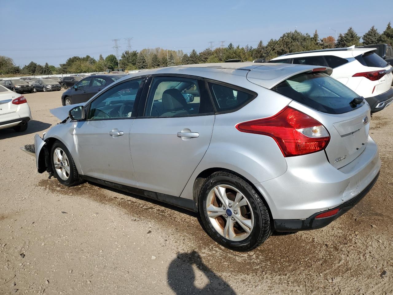 Lot #2976946706 2014 FORD FOCUS SE