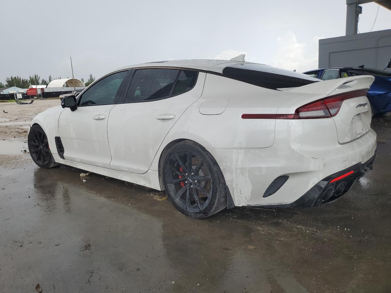 Lot #2981405616 2022 KIA STINGER GT