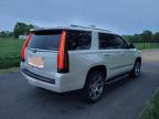 CADILLAC ESCALADE L снимка