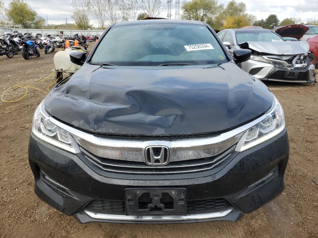 Lot #2928606702 2017 HONDA ACCORD SPO