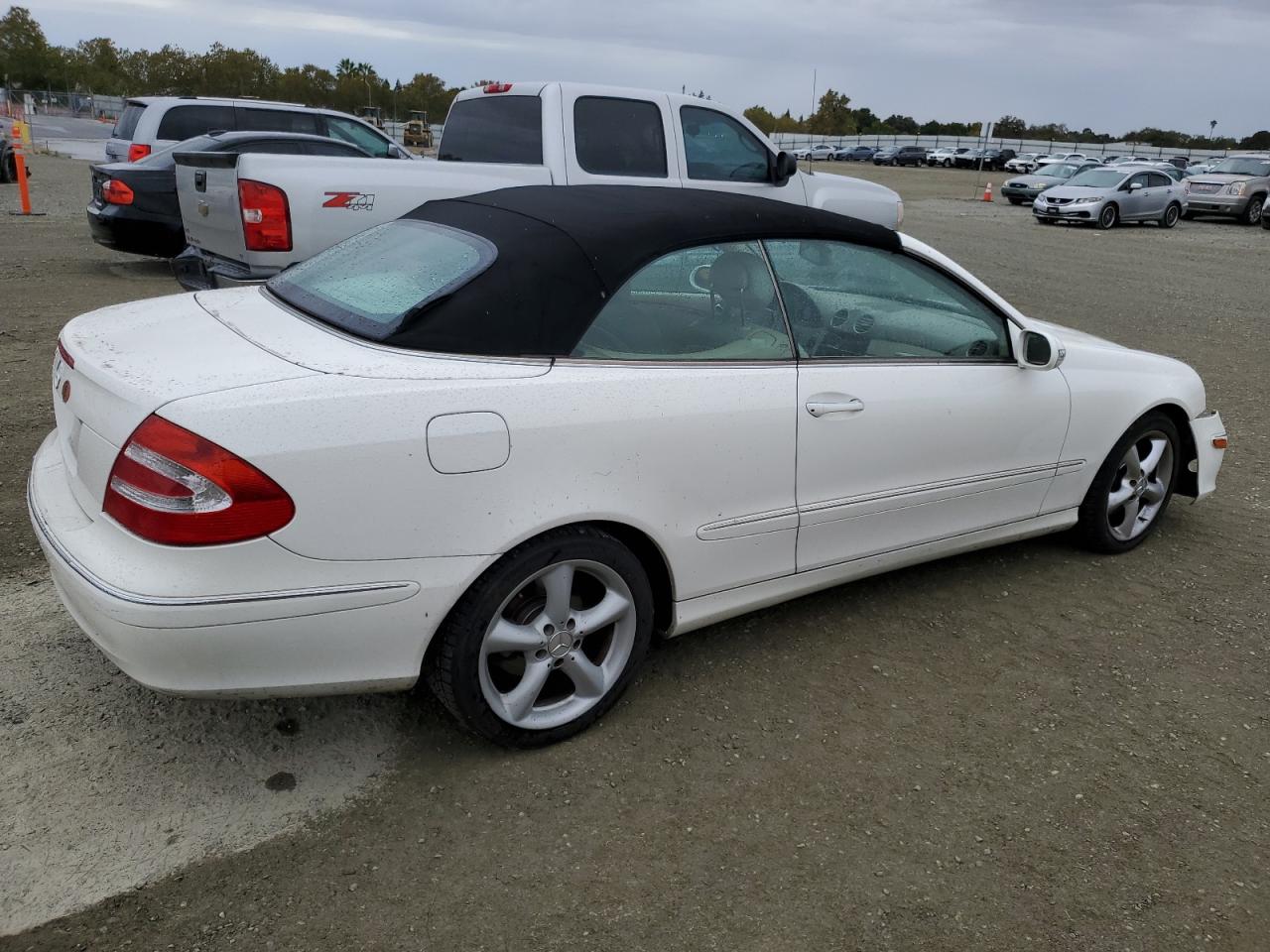 Lot #2937987830 2005 MERCEDES-BENZ CLK 320