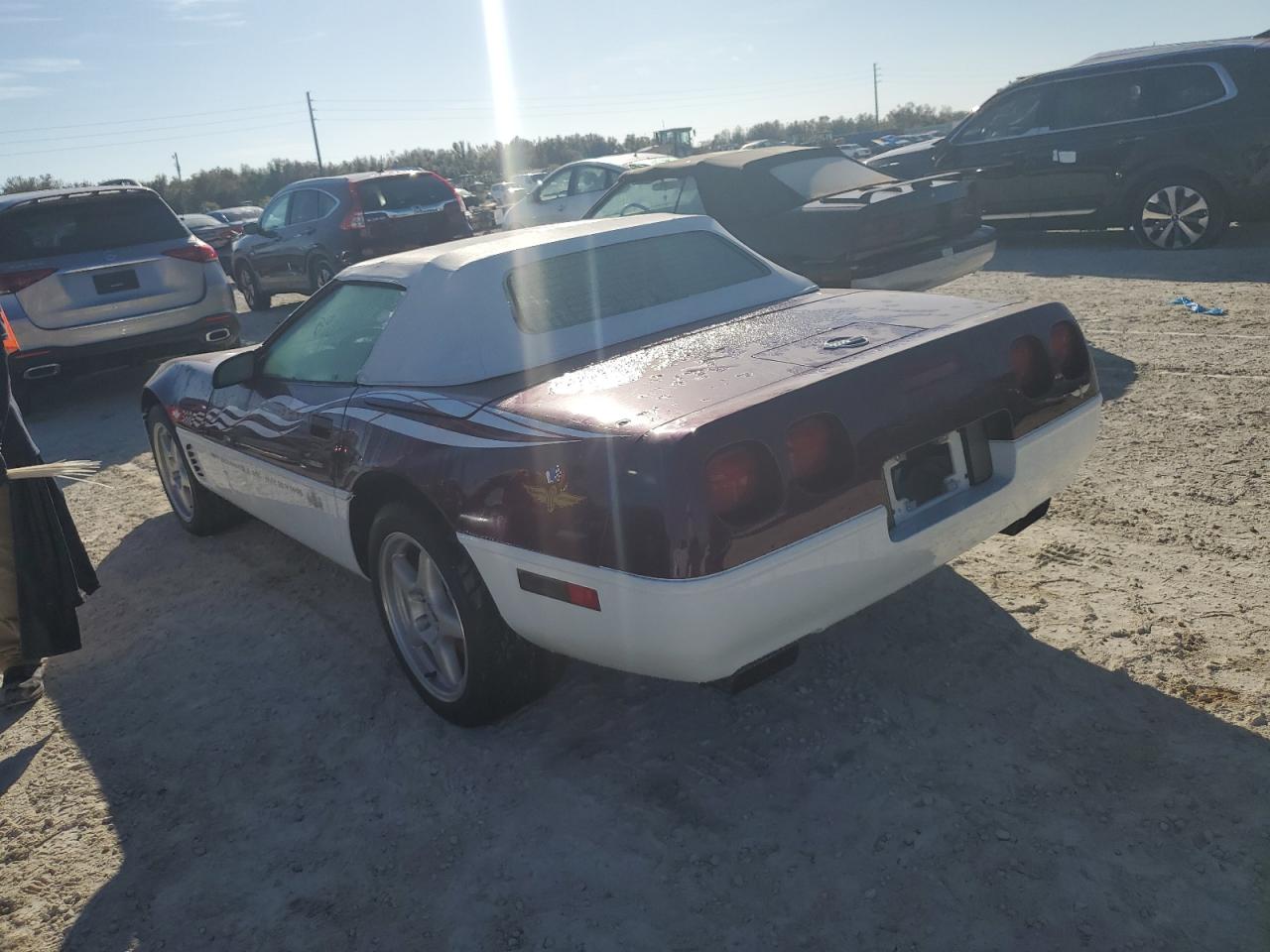 Lot #3029726734 1995 CHEVROLET CORVETTE