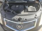 CADILLAC SRX PERFOR photo