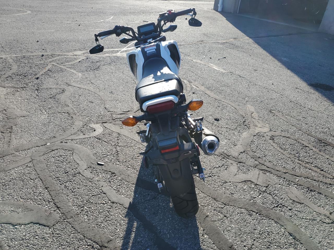 Lot #2954971231 2024 HONDA GROM A