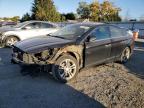 2019 HYUNDAI SONATA LIM - 5NPE34AF2KH740498