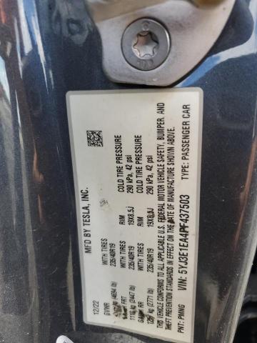 2023 TESLA MODEL 3 - 5YJ3E1EA4PF437503