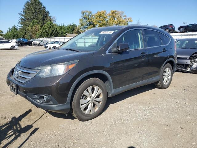 VIN 5J6RM4H72DL019216 2013 Honda CR-V, Exl no.1