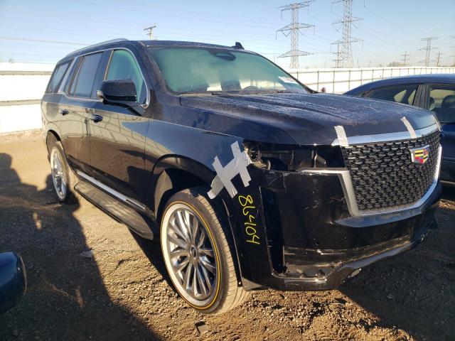 2024 CADILLAC ESCALADE P - 1GYS4BKL9RR232325